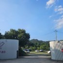 camp 80 이미지