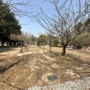 일영Star캠핑장 이미지