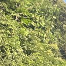 영월읍행정복지센터 이미지