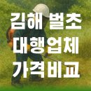 김해묘역 | 김해 벌초대행 추천, 가격과 후기 모두 잡은 업체는 여기!