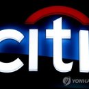 서프라이즈시티 이미지