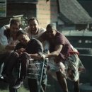 도그하우스 이미지