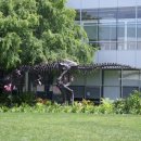 인터넷래리 이미지