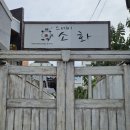 대구 애견동반 숙소 추천 | 스테이 소화 내돈내산 솔직후기 장점과 단점❤