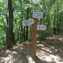 분당동 주민센터 이미지