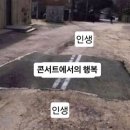 와라 pc방 | 2025피크페스티벌리뷰, 웨이브투어스 사랑해 ♥