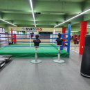 창녕KSS복싱센터 이미지