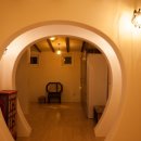 다산육종 이미지