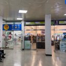 연안애견 | 제주에서 목포 배편 ‘퀸제누비아호’ 이코노미 애견동반 후기 목포연안여객선터미널 무료주차 꿀팁