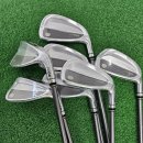 증평슈퍼 | 증평 골프샵 PRGR 슈퍼에그 여성 아이언 시타 후 최저가 구매 후기