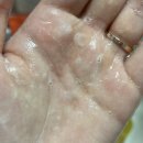 베이뷰티(BAE.B) | 퍼퓸 샴푸 추천 :: 바디브 미오 샴푸 (VADEV) 믿고 쓰는 고품격 향기 엘딘 디파르바향 솔직 후기 !