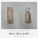 블랙스프레이 | 남자 퇴사선물 추천 답례품으로도 인기 많은 떼르디 멀티스프레이 후기