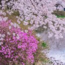 문봉2리 이미지