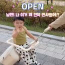 착한에이스베이직우리이착한 | [공구마감] 스펙최고! 가격은 제일 착한 갓성비 키머즈 트라이크 캐리어 반값세일❗ (6/10~6/13)