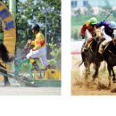 일본 경마정보 (초보자 가이드) 이미지