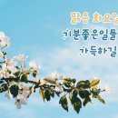 맑은 화요일~ 이미지