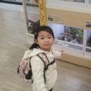 홈플러스서대전점(아이러브펫) 이미지