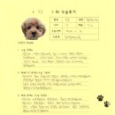 1287 | [#1287] 동동(양측 슬개골탈구 G3)의 수술후기
