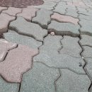 기산동길 이미지