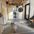 옐레드 송파헬리오시티점 이미지