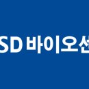 대양에스디