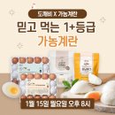 📢아라쇼 도깨비 X '믿고 먹는 1+등급 가농계란🥚' 이미지