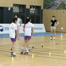 제천체육관야외 이미지