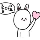 김제호두마루애견카페샵 이미지