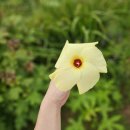 황금보석 - 미추홀구 미추홀대로 644 | 황금보석