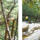 충청도양반길(3코스) 이미지