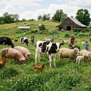 이윤축산 이미지