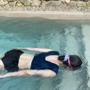 어푸어푸 이미지