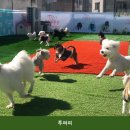 투퍼피 | 투퍼피 주차 편리 한 곳의 이용 비용 안내