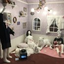 아임크리에이티브 | 페트라콜린스 :Fangirl 전시 곧 끝난대요ㅜㅜ