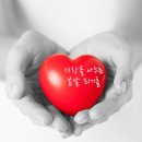 봄날오다 이미지