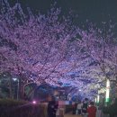 150m전쯤~ 이미지