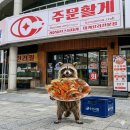 홍게킹 | 강릉 맛집 주문진 맛집 주문활게 리얼후기 대게 킹크랩 홍게 무한리필 회 맛집 애완동반 맛집 추천...