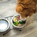 몽몽이엠파크 이미지