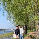리노(RINO) | 경기도 양평 카페 추천 | 두물머리 뷰 맛집 리노(rino) 재방문 후기