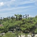 모가관광코스 이미지