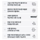 더블케어 이미지