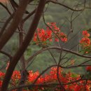 럭키 권투 체육관 이미지