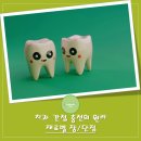 보강치과기공소 이미지