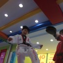 드림태권도 1관 이미지