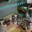 중구청.메리놀병원 이미지