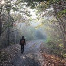 이화산등산로 이미지