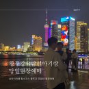 십육길 | 상하이 황푸강 유람선 예약없이 당일 현장구매 아기랑 탑승후기 (십육포2부두)