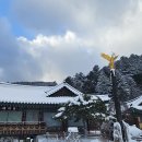 황보당 - 제천시 의림대로18길 3 | 황보당