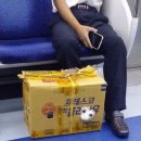 귀여워 강아지 이미지