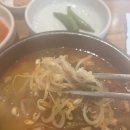 유성정비센타 | 대전 유성 자전거 코스 제주은희네해장국 내장탕 먹고 한밭수목원 피크닉